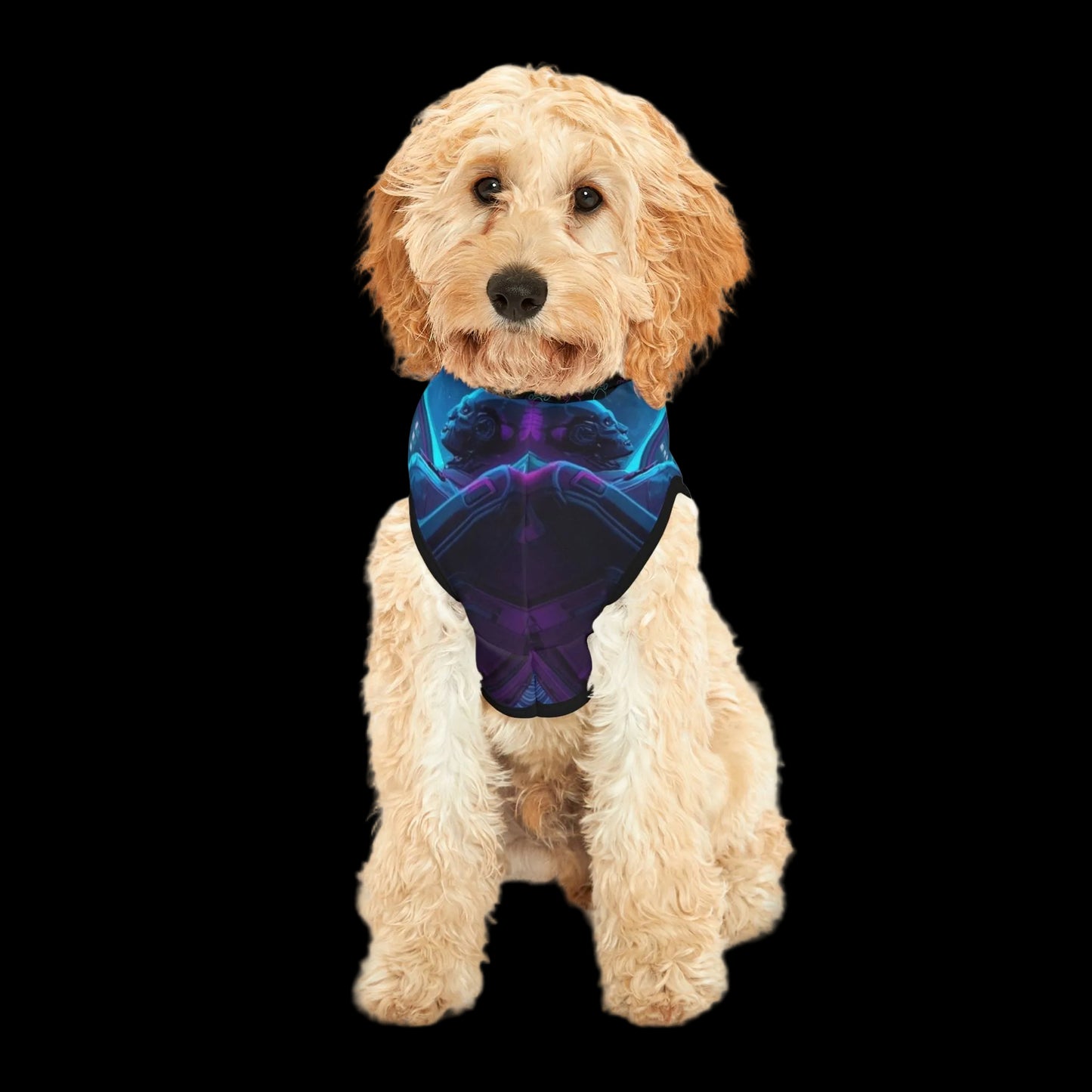 Silent Orbit Pet Hoodie (PetSync)