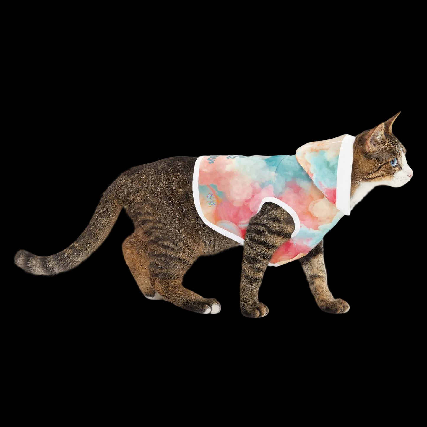 Little Neon Dreamer Pet Hoodie (PetSync)