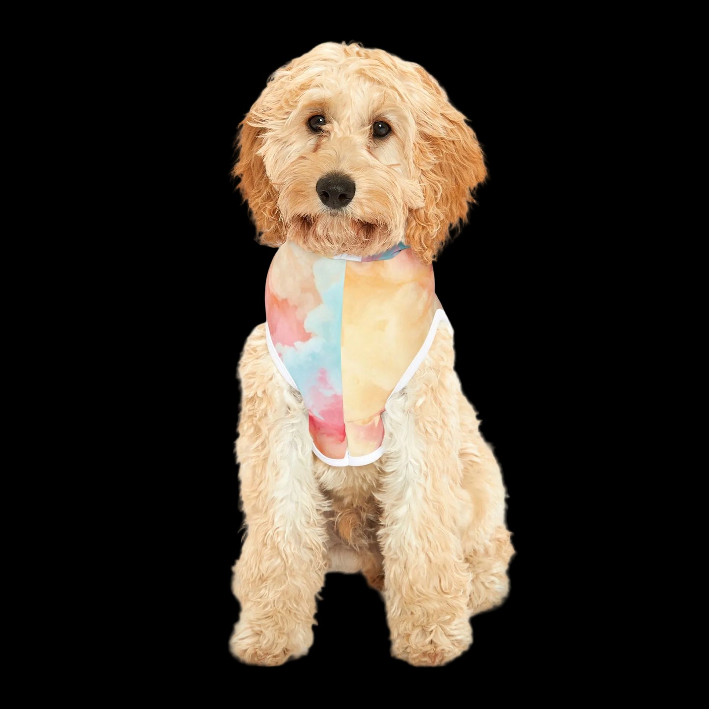 Little Neon Dreamer Pet Hoodie (PetSync)