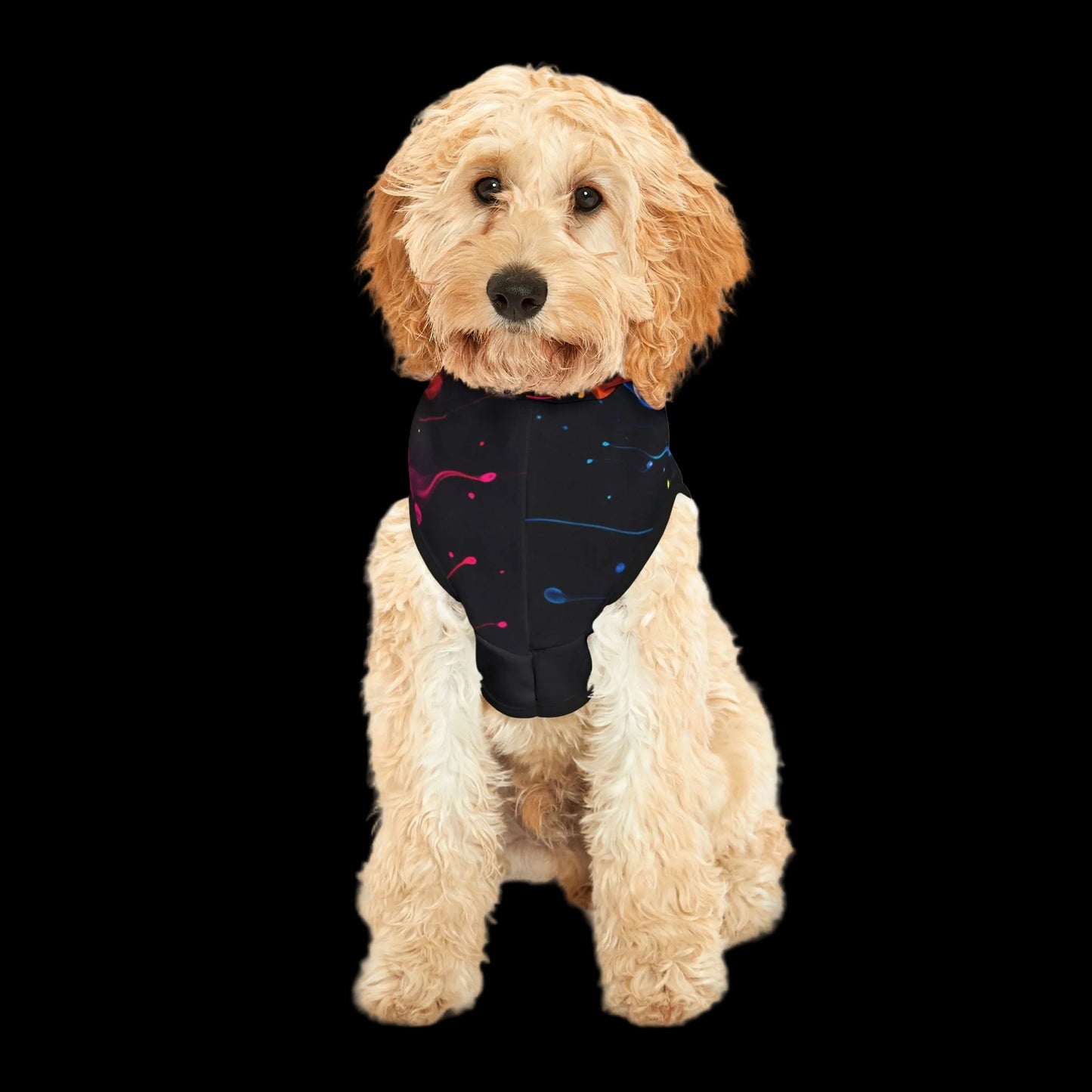 Glow Together Pet Hoodie (PetSync)